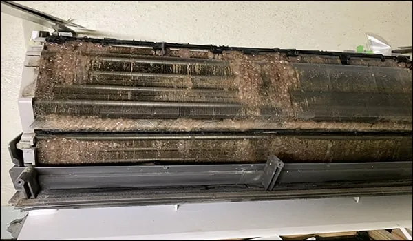 汚れが蓄積したエアコンの内部