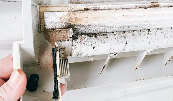 エアコンに発生したカビ