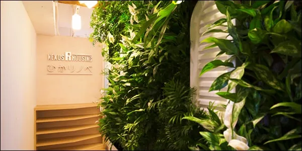 ひかリノベのオフィス入口