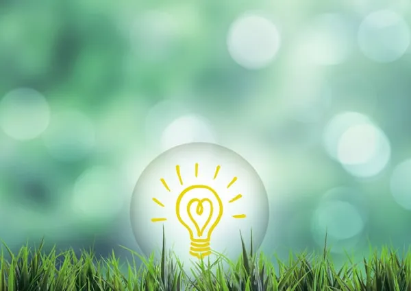 緑と電球のイラスト